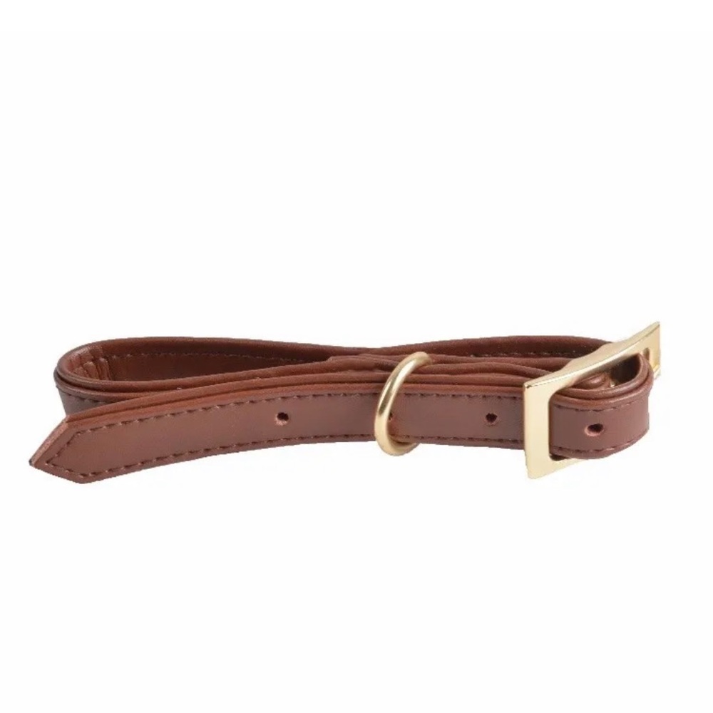 Wondershop Dog Collar Pet XS Up to 10 Pounds New NWT